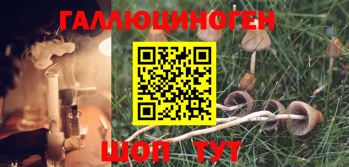 Первоуральск  Галлюциногенные грибы GOLDEN TEACHER  Вход с VPN 